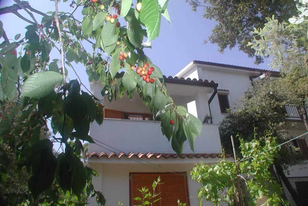 Stinjan-Studio Apartment Petric Pula Exterior foto